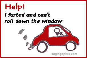 funny bumper sticker sayings
