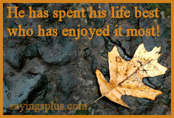 living life quotes