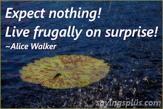 life quotes and sayings life quotes and sayings