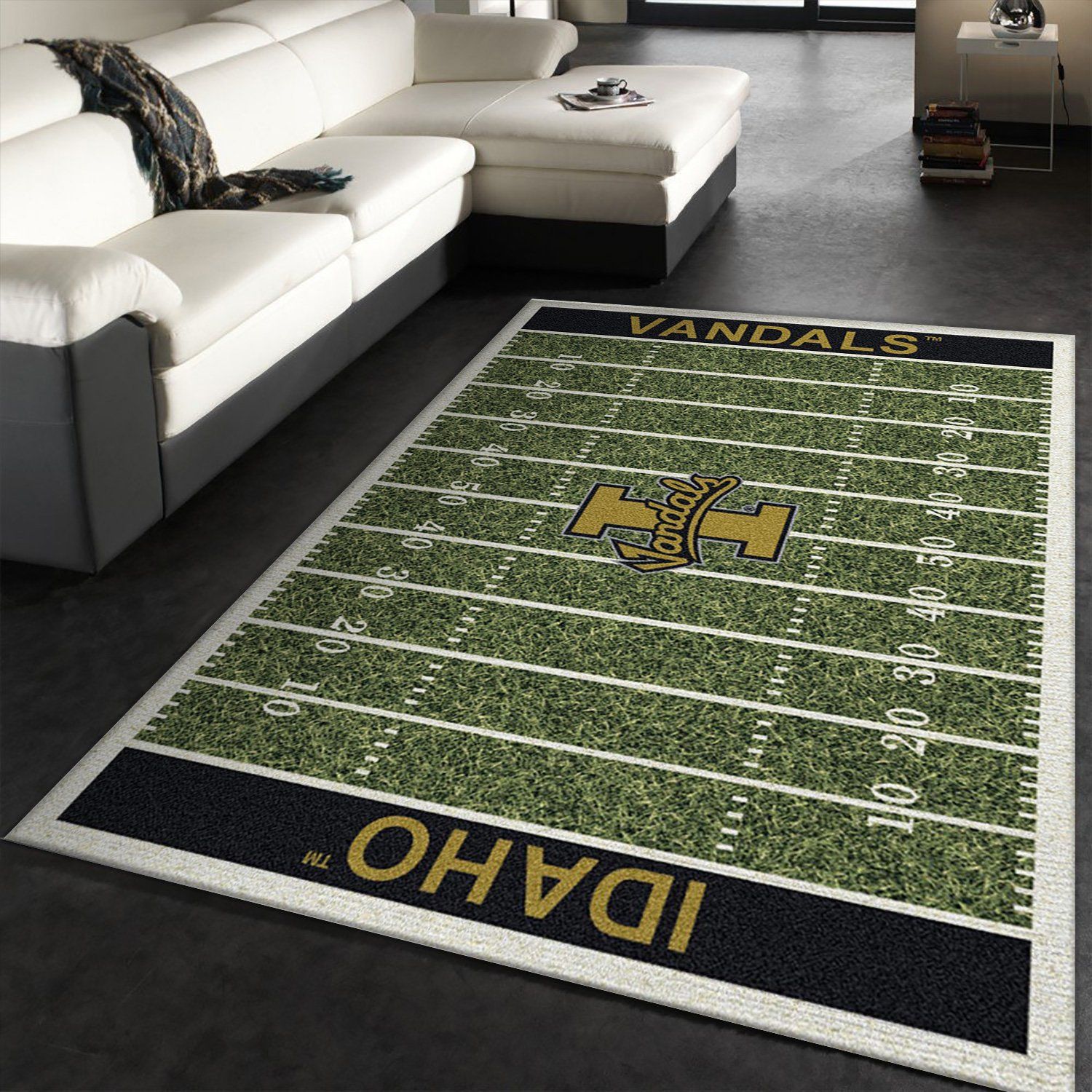 College-Idaho-NFL-Team-Logo-Area-Rug-Bedroom-Rug-US-Gift-Decor.jpg