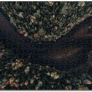 Aerial View Autumn Trees Jigsaw Puzzle Set
