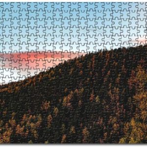 Aerial View Of Forest Trees Jigsaw Puzzle Set