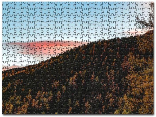 Aerial View Of Forest Trees Jigsaw Puzzle Set