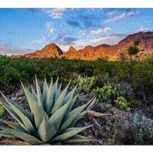 Agave Cactus Jigsaw Puzzle Set