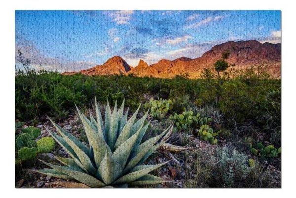 Agave Cactus Jigsaw Puzzle Set