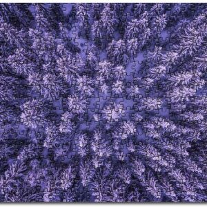 Aieral Shot Of Trees Cold Jigsaw Puzzle Set