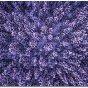 Aieral Shot Of Trees Cold Jigsaw Puzzle Set