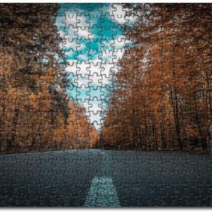 Alone Road Forest Autumn Golden Trees Jigsaw Puzzle Set