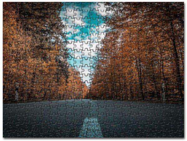 Alone Road Forest Autumn Golden Trees Jigsaw Puzzle Set