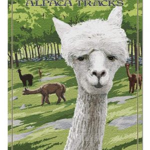 Americas Stonehenge, Alpacas Jigsaw Puzzle Set