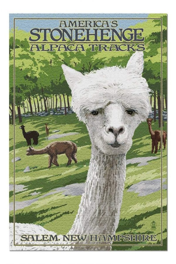 Americas Stonehenge, Alpacas Jigsaw Puzzle Set