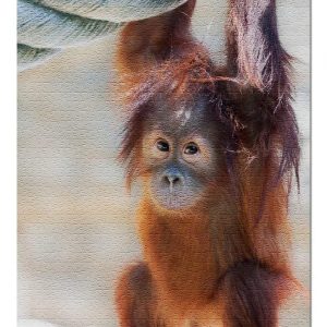 Animal Baby Orangutan Jigsaw Puzzle Set