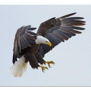 Animal Bald Eagle Jigsaw Puzzle Set