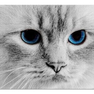 Animal Cat Face And Blue Eyes Jigsaw Puzzle Set