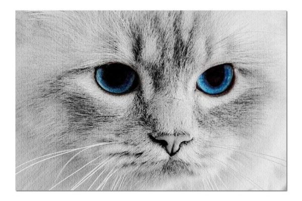 Animal Cat Face And Blue Eyes Jigsaw Puzzle Set