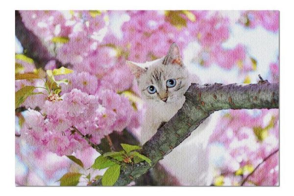 Animal Cats, Blue Eyed Cat And Blooming Cherry Jigsaw Puzzle Set
