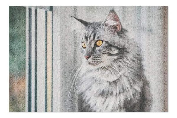 Animal Cats, Fluffy Gray Cat Jigsaw Puzzle Set