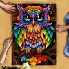 Animal Colorful Owl Jigsaw Puzzle Set