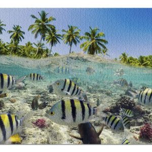 Animal Coral Reef And Fish Jigsaw Puzzle Set