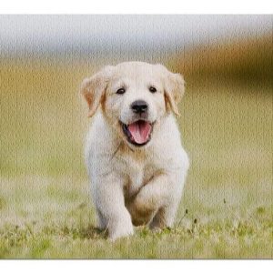 Animal Dogs, Retriever Puppy Jigsaw Puzzle Set