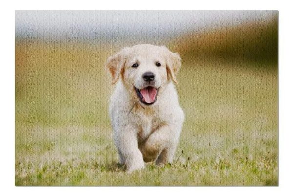 Animal Dogs, Retriever Puppy Jigsaw Puzzle Set