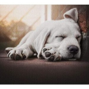 Animal Dogs, Sleeping Retriever Puppy Jigsaw Puzzle Set