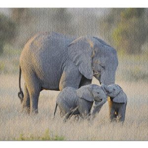 Animal Elephant And Twins Jigsaw Puzzle Set