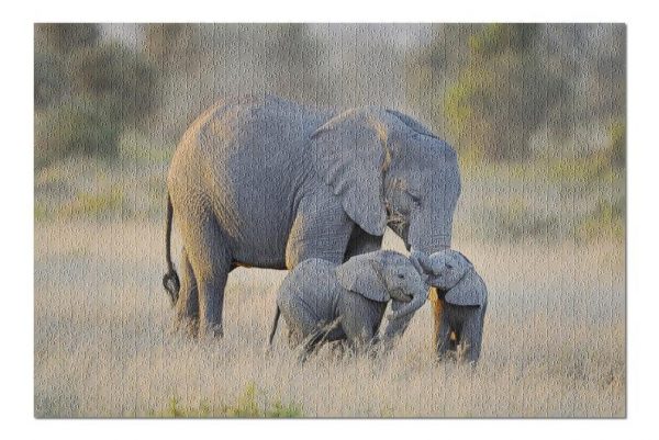 Animal Elephant And Twins Jigsaw Puzzle Set