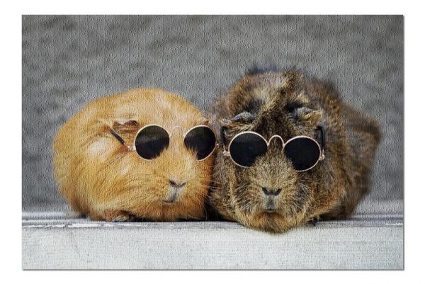 Animal Hamsters Wear Sunglasses Jigsaw Puzzle Set