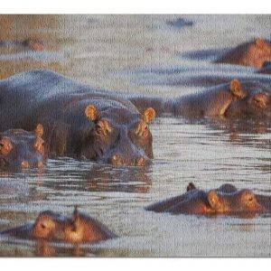 Animal Hippopotamus In The Water Jigsaw Puzzle Set