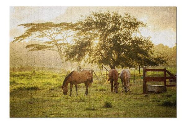 Animal Horses Grazing Jigsaw Puzzle Set