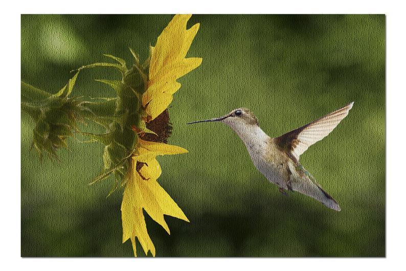 Animal Hummingbird And Sunflower Jigsaw Puzzle Set Animal Hummingbird And Sunflower Jigsaw Puzzle Set