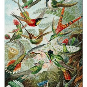 Animal Hummingbirds Jigsaw Puzzle Set