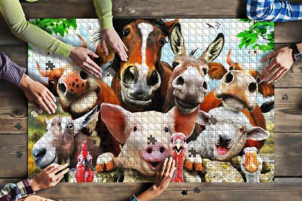 Animal In Cattle Farm Jigsaw Puzzle Set