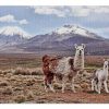 Animal Llamas In The Moutain Jigsaw Puzzle Set