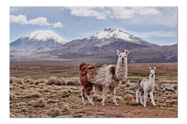 Animal Llamas In The Moutain Jigsaw Puzzle Set Animal Llamas In The Moutain Jigsaw Puzzle Set