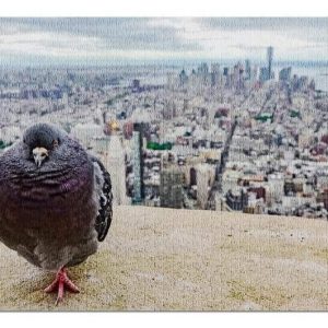 Animal Pigeon On The Roof Jigsaw Puzzle Set