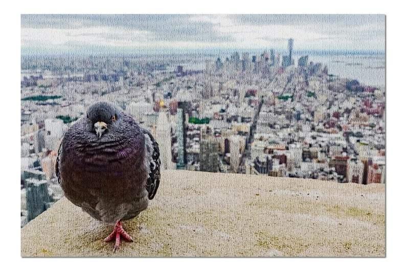 Animal Pigeon On The Roof Jigsaw Puzzle Set Animal Pigeon On The Roof Jigsaw Puzzle Set
