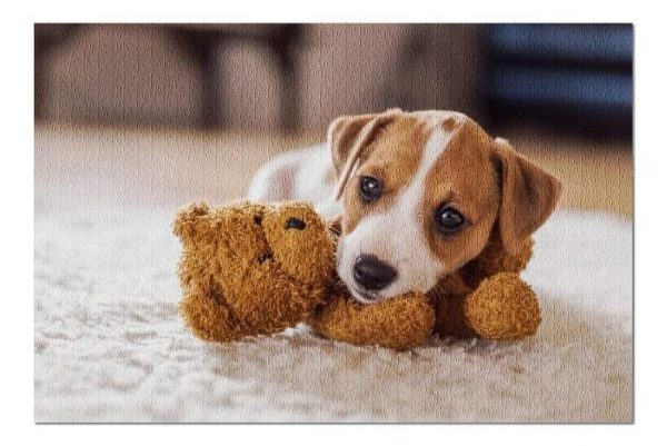 Animal Puppy With Bear Jigsaw Puzzle Set
