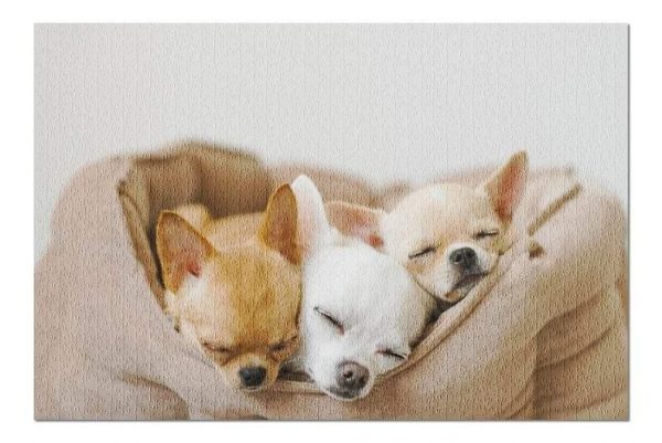 Animal Sleeping Chihuahua Puppies Jigsaw Puzzle Set