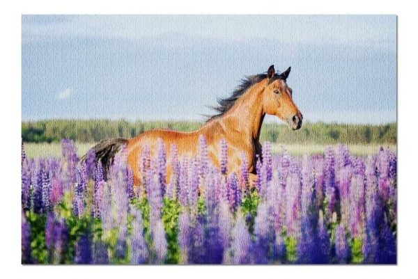 Animal. Horse With Lupine Flowers Jigsaw Puzzle Set
