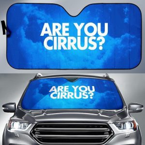 Are You Cirrus Car Auto Sun Shade