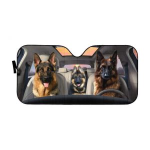 Becgie Family Car Auto Sun Shade