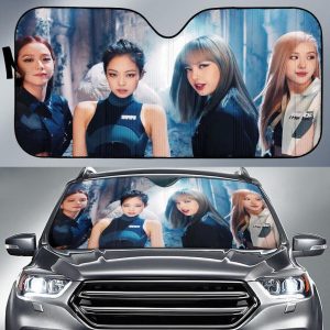 Black Pink Car Auto Sun Shade