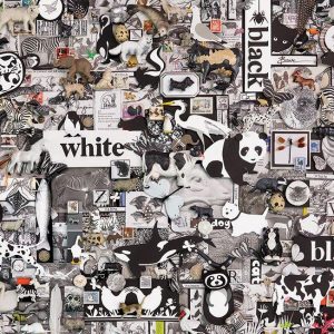 Black & White Animal Jigsaw Puzzle Set