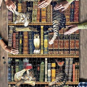 Bookshelves And Cats Jigsaw Puzzle Set