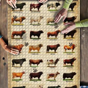 Breeds Of Cattle S Jigsaw Puzzle Set