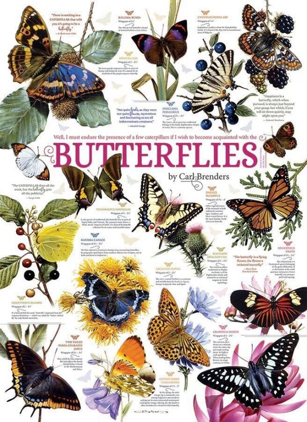 Butterfly Collection Jigsaw Puzzle Set