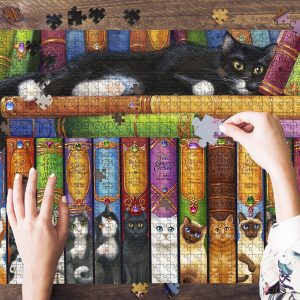 Cat Bookshelf Jigsaw Puzzle Set