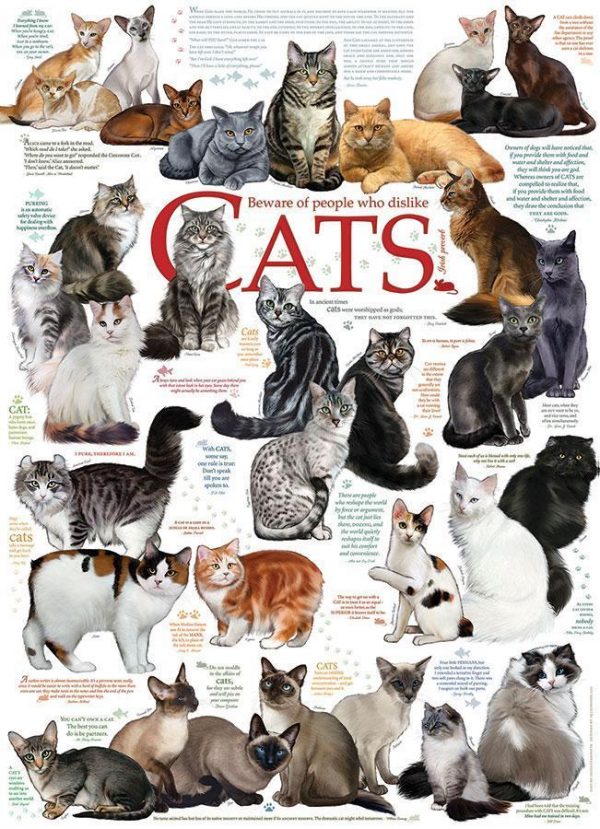 Cat Quotes Jigsaw Puzzle Set